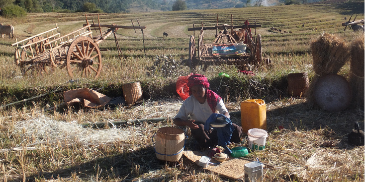Kalaw-trekking-kar-os-Myanmar-Birma