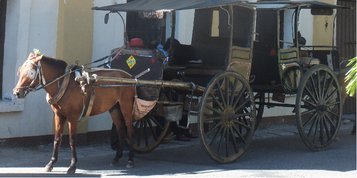 Vigan-kalesa-paard-en-wagen-Mestizo-wijk-koloniaal-pand-Spaans-Filipijnen