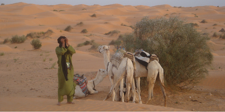 Ksar-Ghilane-grens-Romeinse-Rijk-limes-Erg-Oriental-kamelen-Sahara-woestijn-oase