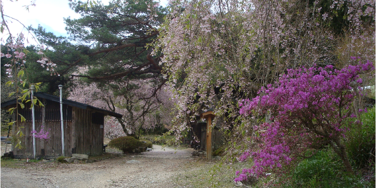 Magome-Tsumago-wandelpad-bloemen-Japan