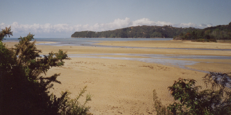 Abel-Tasman-nationaal-park-strand-Nieuw-Zeeland