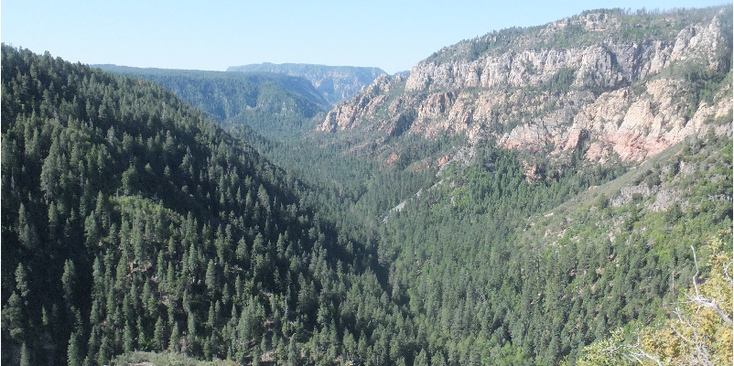 Oak-Tree-Canyon-vallei-Arizona-Verenigde-Staten