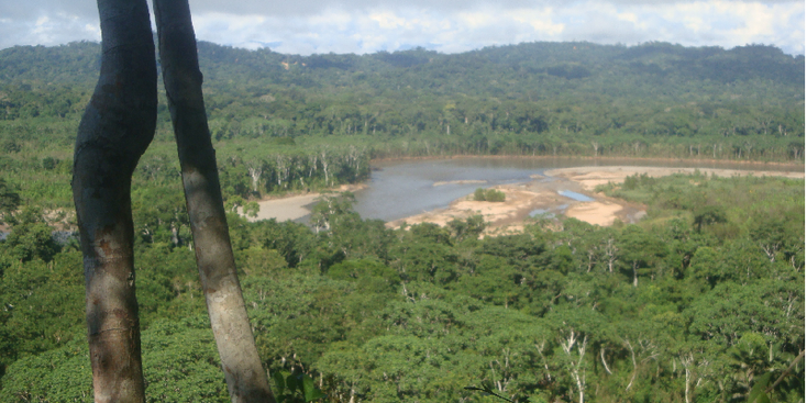 Maididi-nationaal-park-Beni-rivier-jungle-Bolivia