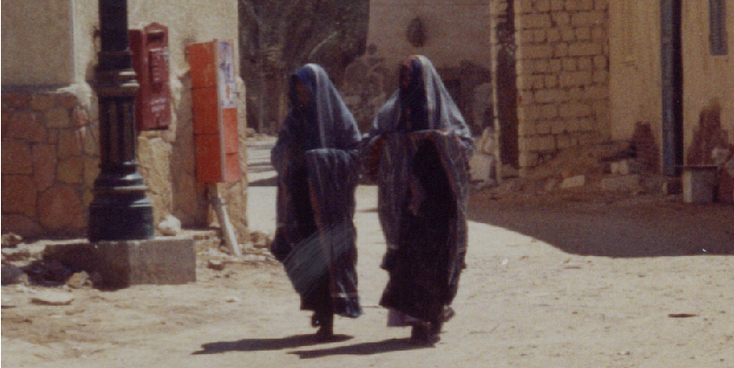 Siwa-Berber-Covered-Mudbrick-Shali-Oasis-Egypt