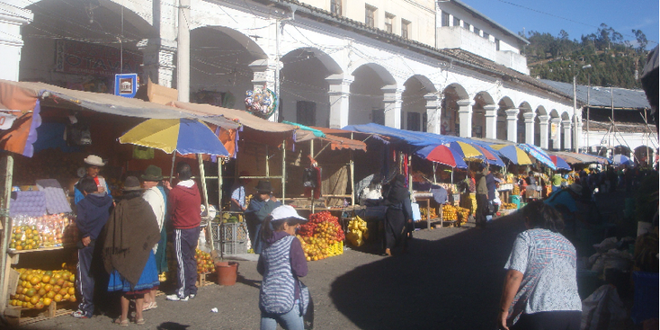 Fachalinas-markt-inheems-Otavalo-traditioneel-fruit-columns-stad-Ecuador