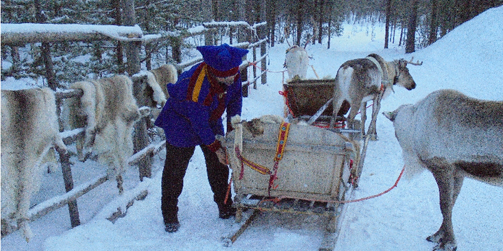Inari-rendier-Sami-sneeuw-arrenslee-slee-Lapland-Finland