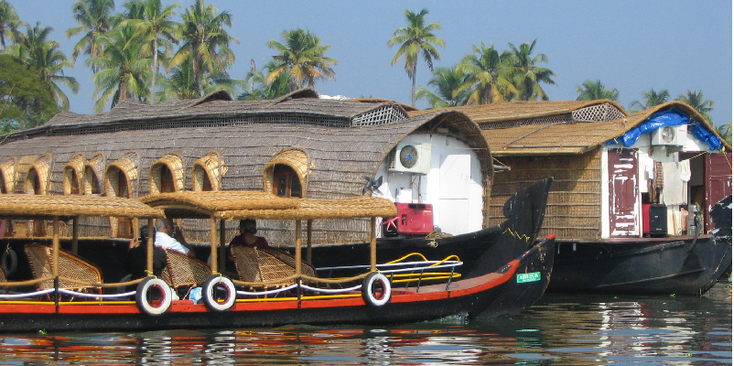Backwaters-Kerala-Alleppey-Reed-India
