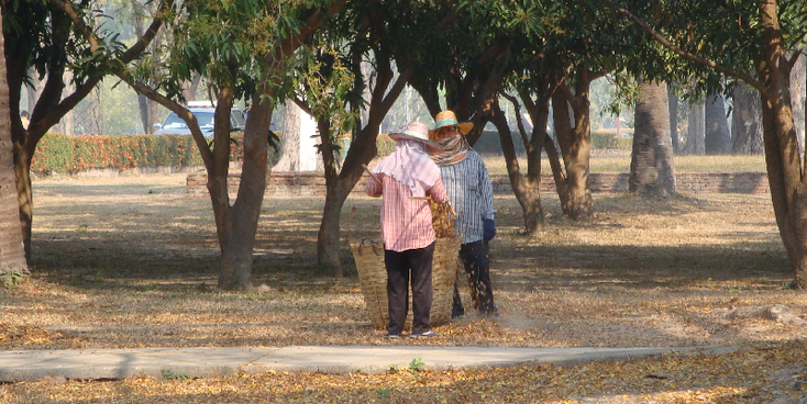 Sukotahi-schoonmaak-Thailand