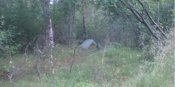 Mekelli-wildkamperen-tent-bos-Finland