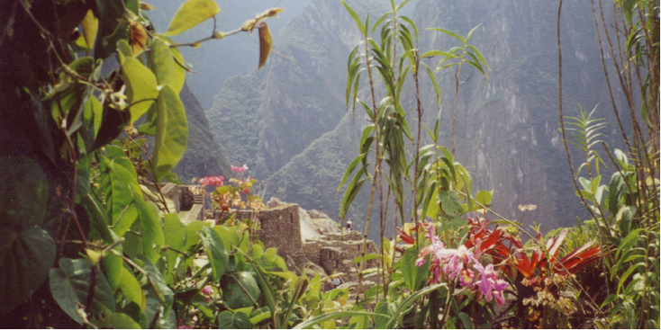 Incatrail-Inca-Trail-Andes-Mountains-Peru