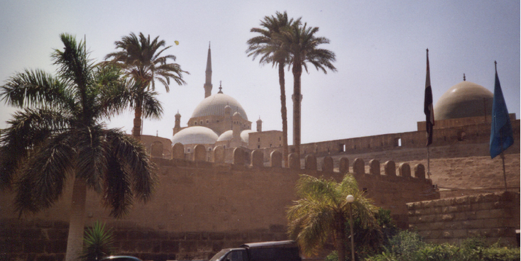 Cairo-citadel-ommuurd-moskee-Muhammed-Ali-palmbomen-Egypte