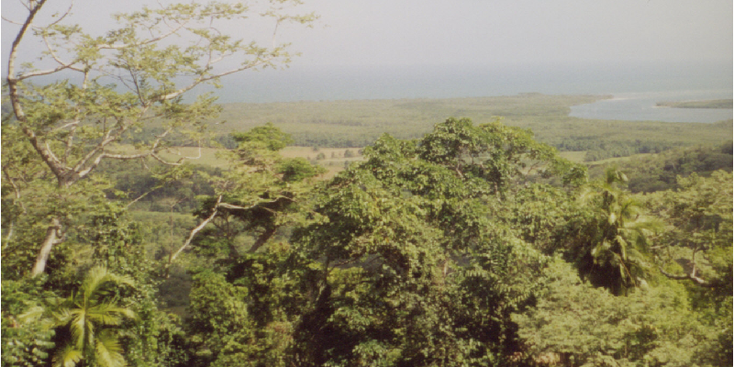 Daintree-dorp-nationaal-park-Cape-Tribulation-Kaap-Australië