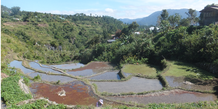 Maligcong-Bontoc-Banaue-rijstvelden-rijstterras-uitzicht-terras-Filipijnen