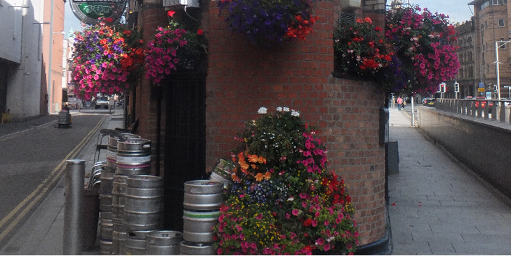 Belfast-pub-bier-bloemen-Noord-Ierland