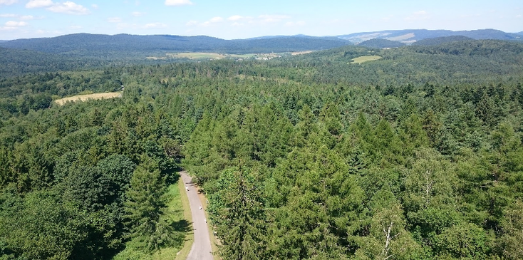 Dukla-pas-observatietoren-bos-pad-slagveld-grens-Polen-Slowakije