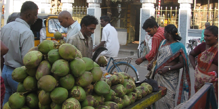Tiruputhi-straatleven-kokosnoot-tuktuk-India