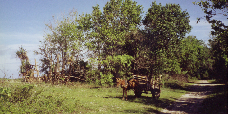 Gili-Trawangan-Lombok-Indonesië-paard-en-wagen