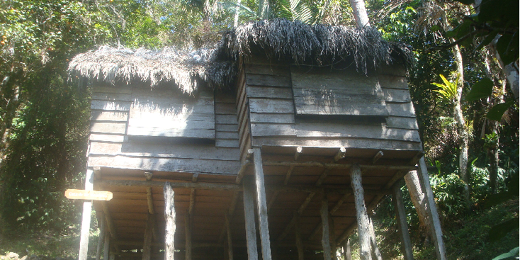 Sierra-Maestra-Nationaal-park-Cuba-Fidel-Castro-Revolutie-hutten-stro-hout