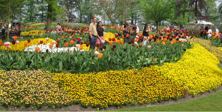 Keukenhof-Lisse-Nederland-bloemen-Maart-April