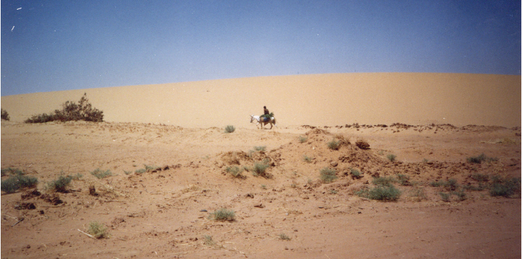Al-Gedida-zandduinen-ezel-Mut-Dakhla-Egypte-oase