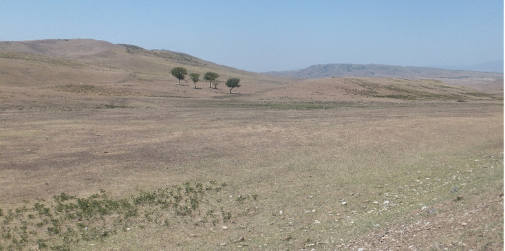 Udabno-zout-weg-Kakheti-Georgië