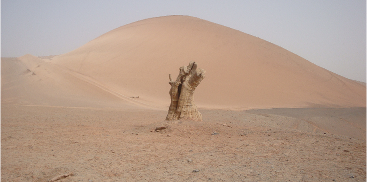 Turpan-Flaming-Mountains-vlammende-bergen-zand-heuvel-dode-boom-China
