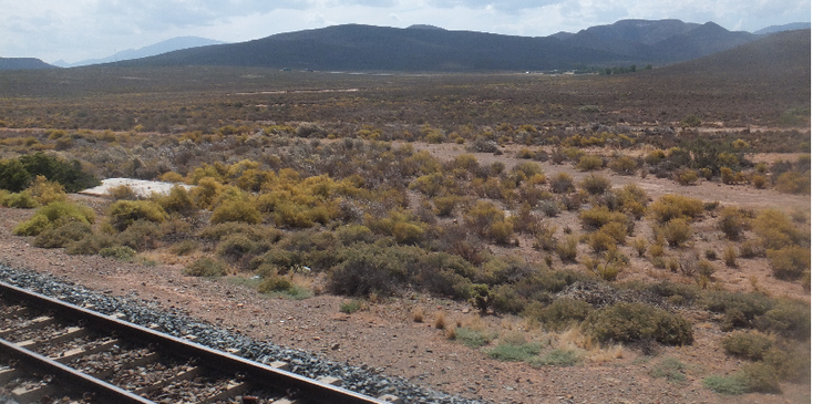 Karoo-Kaapstad-Kimberley-trein-Zuid-Afrika