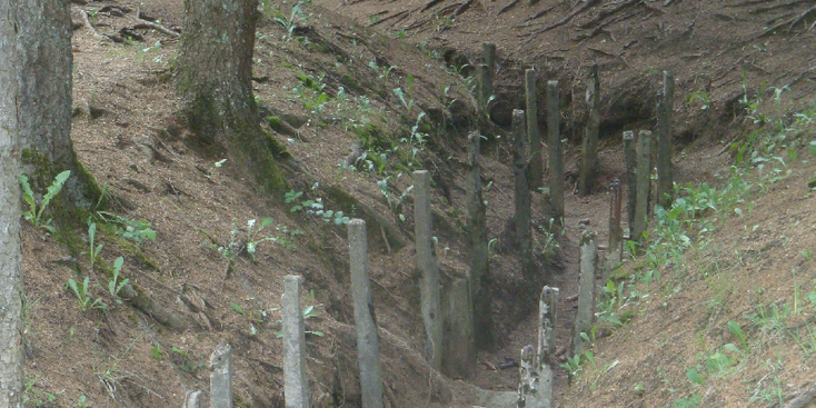 Verdun-Trench-WW1-France