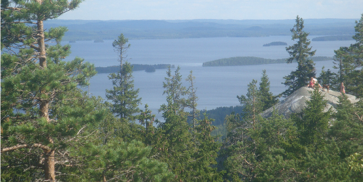 Koli-nationaal-park-Pielinenmeer-meren-eiland-bossen-Finland