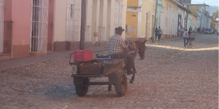 Trinidad-Cuba-straatleven-paard-en-wagen-keitjes