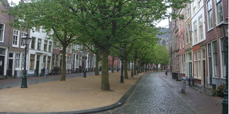Hooglandse-Kerkgracht-bomen-Leiden-Nederland