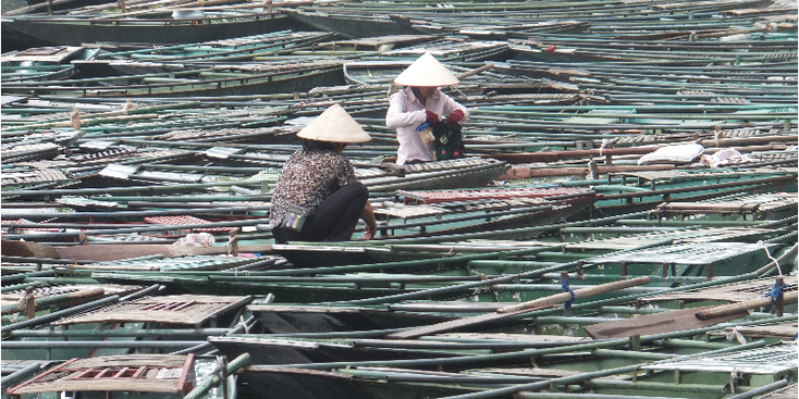 Ninh-Binh-Tam-Coc-boten-roeiers-Vietnam-rivier