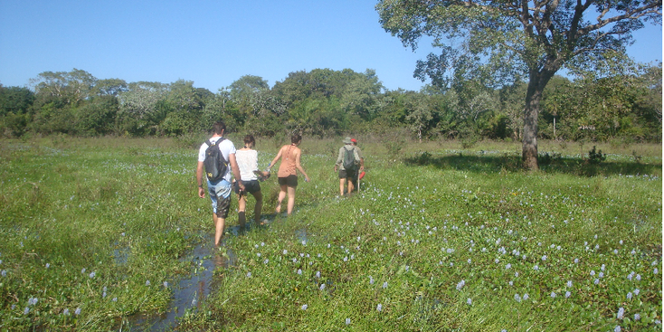 Pantanal-moeras-lopen-wandelen-Brazilië-Nationaal-Park-Jungle