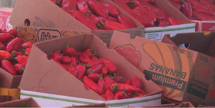Pazar-markt-Pirot-zonnescherm-fruit-stal-Servië