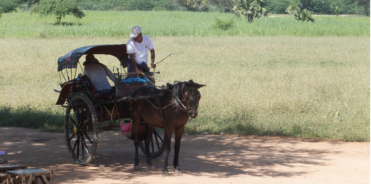 Bagan-tempels-Nyaung-U-paard-en-wagen-Myanmar-Birma