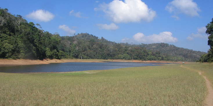 Periya-nationaal-park-Kumily-India-rivier-meer-jungle