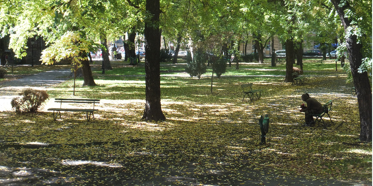 Subotica-park-bomen-bankjes-Servië