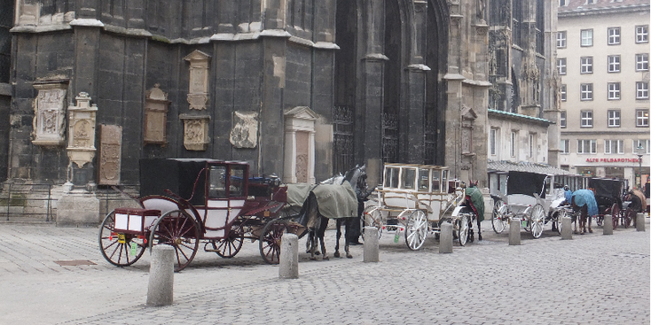 Wenen-koets-paard-en-wagen-ritje-tour-kerk-Oostenrijk