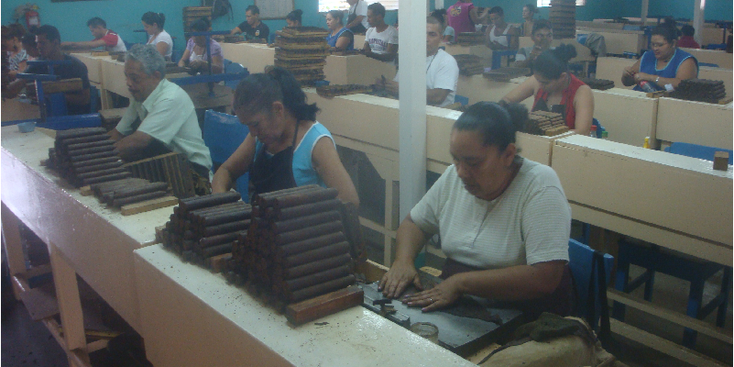 Esteli-sigaren-fabriek-rollen-Nicaragua