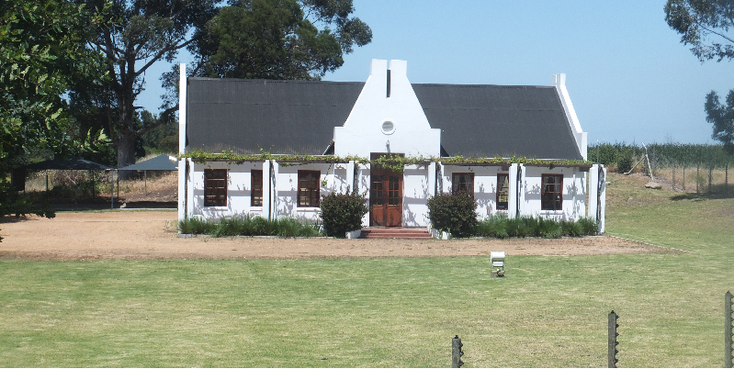 Stellenbosch-kaapkolonie-wijnboerderij-wijngaard-Zuid-Afrika