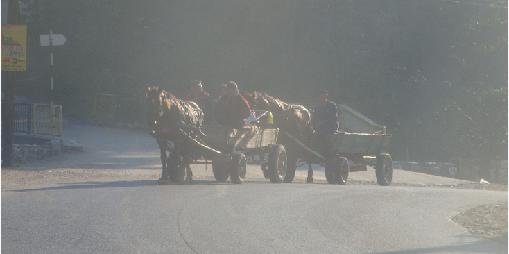 Lacul-Rosu-paard-en-wagen-kar-Roemenië