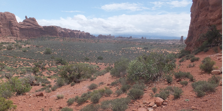 Arches-nationaal-park-rood-zandsteen-Verenigde-Staten