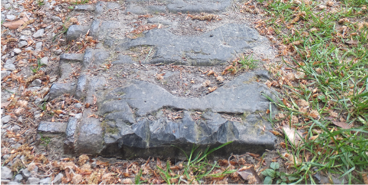 Kall-pad-Fleig-curve-tank-sporen-track-Huertgen-Forest-Hurtgen-Wald-WW2-Duitsland