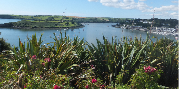 Kinsdale-baai-haven-Ierland