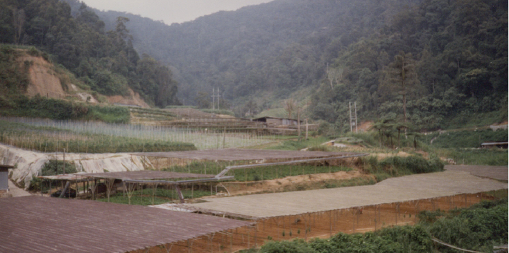 Edeze-mini-dairy-farm-Cameron-Highlands-hooglanden-Maleisië