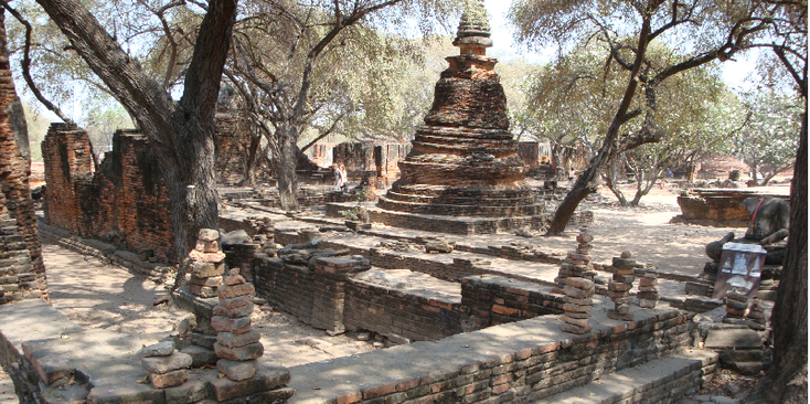 Ayuttayah-tempel-park-historisch-Boeddha-beeld-in-boom-Thailand