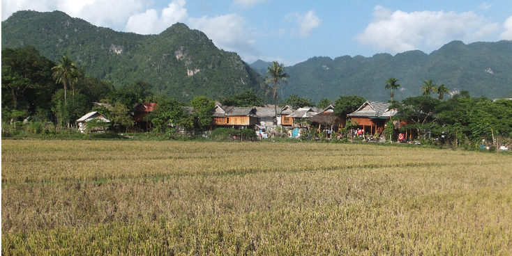 Mai-Chau-houten-huizen-op-palen-bergen-bos-rijstveld-Vietnam