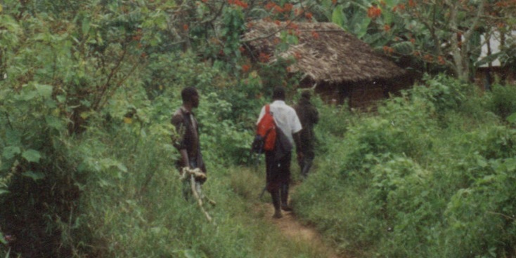 Bwindi-nationaal-park-berg-gorilla-Oeganda-jungle
