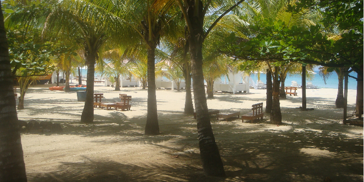 Corn-Mais-Islands-eilanden-Nicaragua-strand-zee-palmboom