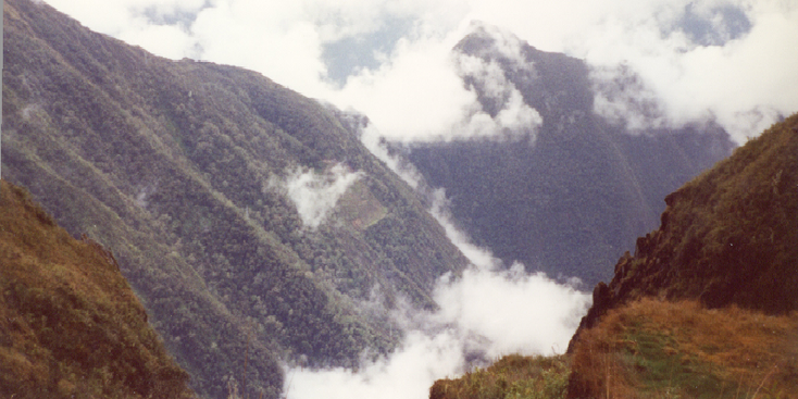 Peru-bergen-Andes-mist-bos-Incapad-Incatrail